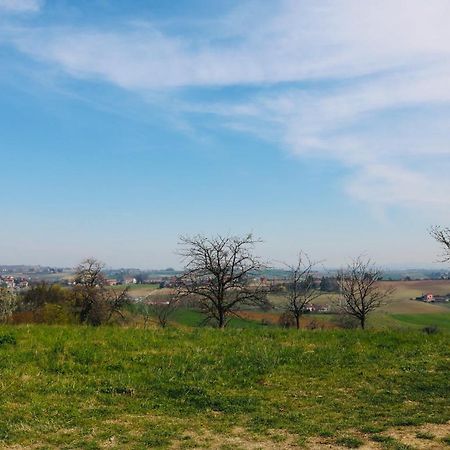 La Casa Dei Nonni Διαμέρισμα Pino Torinese Εξωτερικό φωτογραφία