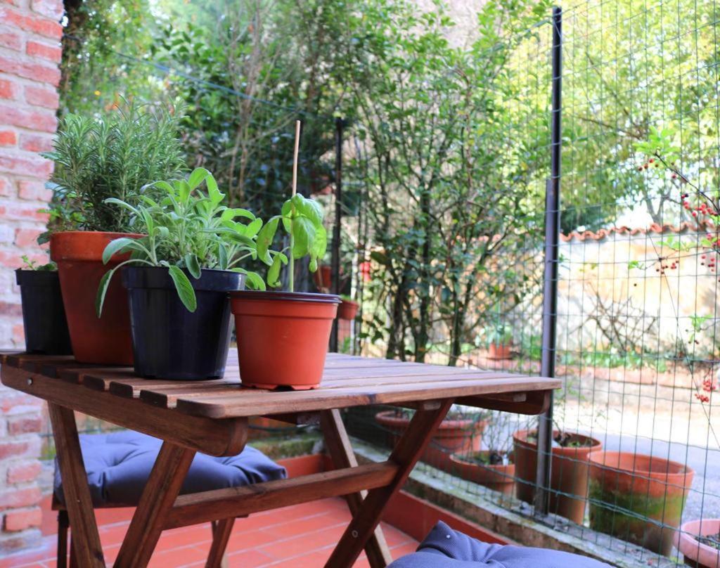 La Casa Dei Nonni Διαμέρισμα Pino Torinese Εξωτερικό φωτογραφία